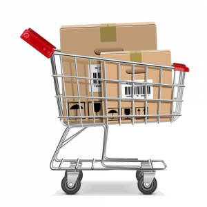 carrito-1-300×300